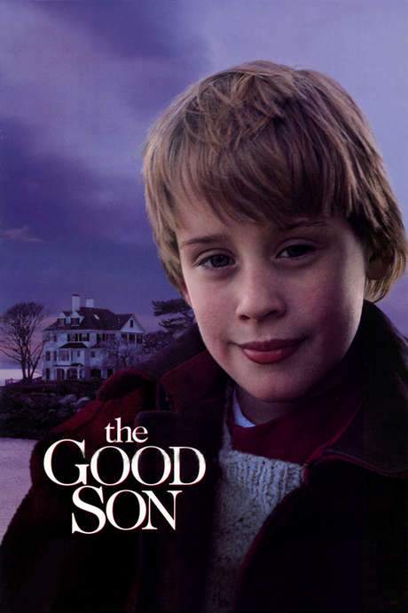 The Good Son